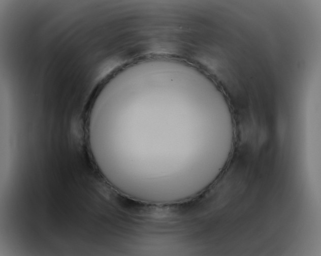 X0000088211266200705221736