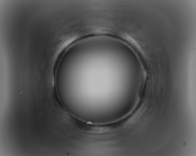 X0000088211269200705221736