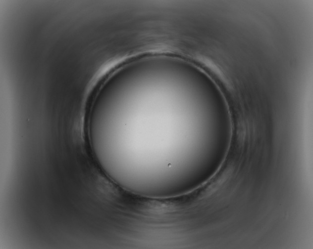 X0000088211270200705221736