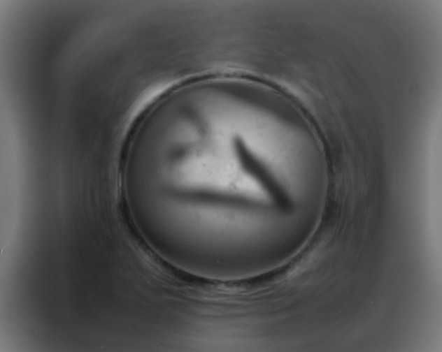 X0000088211271200705221736