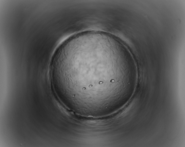 X0000088211272200705221736