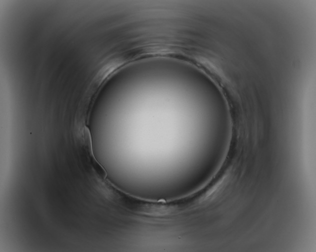 X0000088211273200705221736