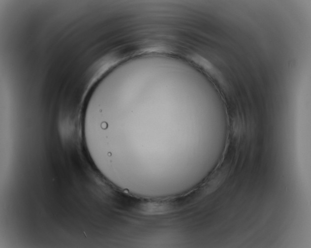 X0000088211274200705221736