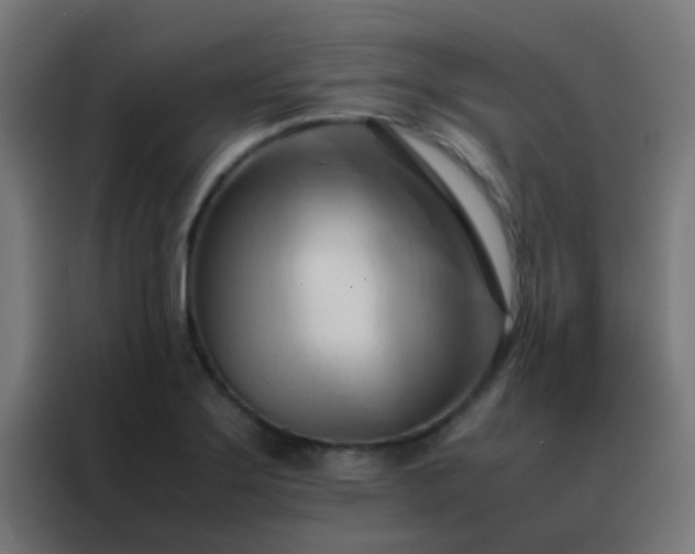 X0000088211275200705221736