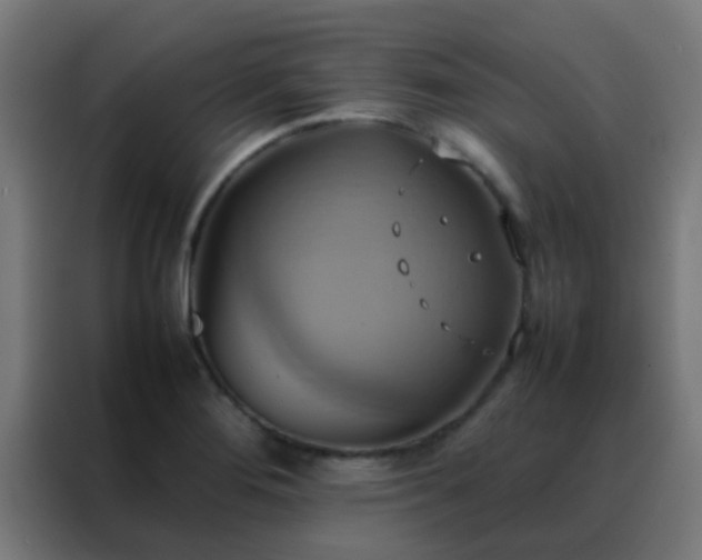 X0000088211276200705221736