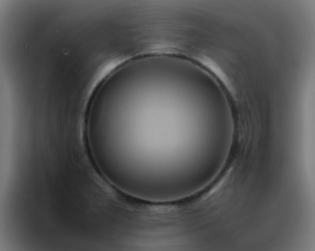 X0000088211277200705221736