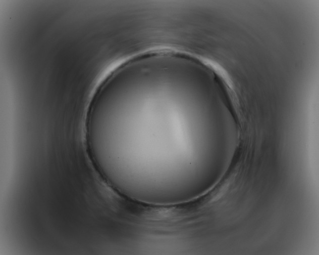 X0000088211279200705221736