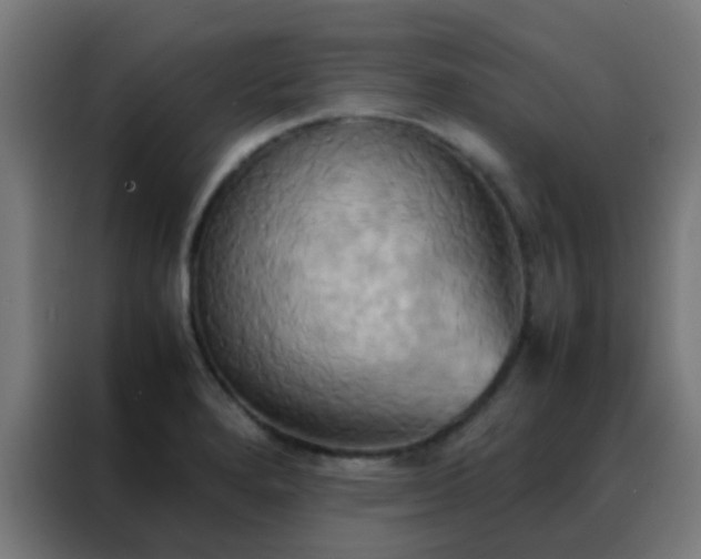 X0000088211280200705221736