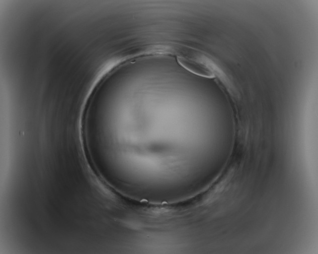 X0000088211283200705221736