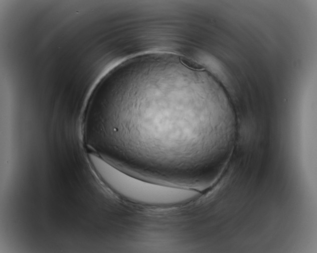 X0000088211284200705221736