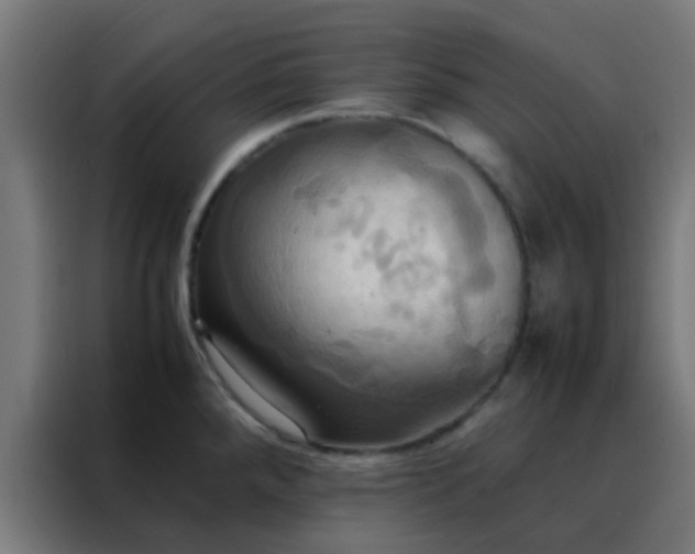 X0000088211288200705221736