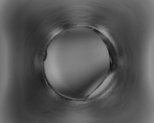 X0000088211289200705221736