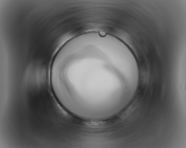 X0000088211290200705221736
