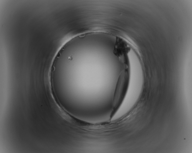 X0000088211291200705221736