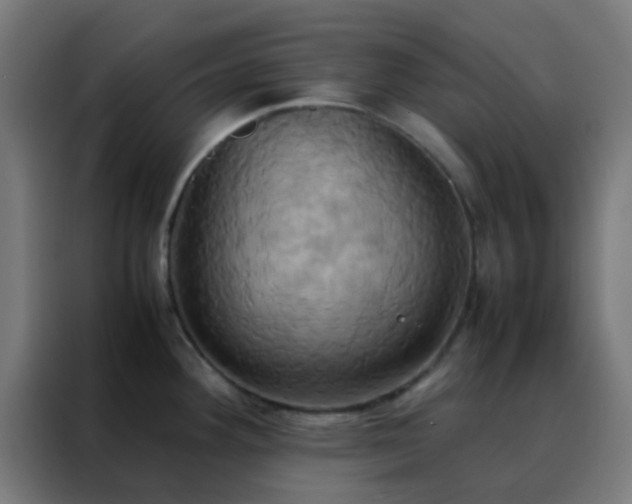 X0000088211292200705221736