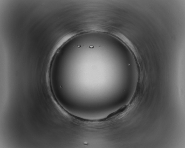 X0000088211293200705221736
