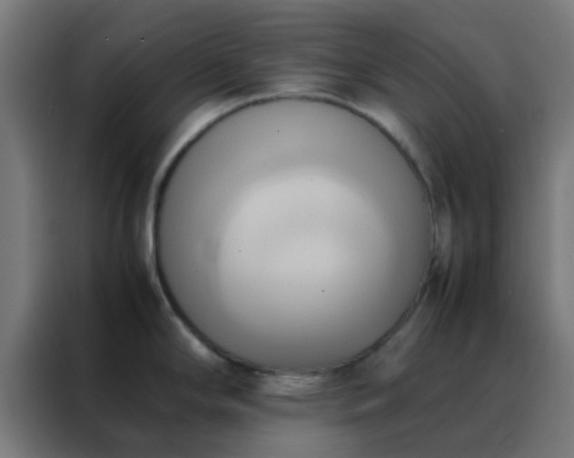 X0000088211294200705221736
