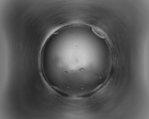 X0000088211295200705221736