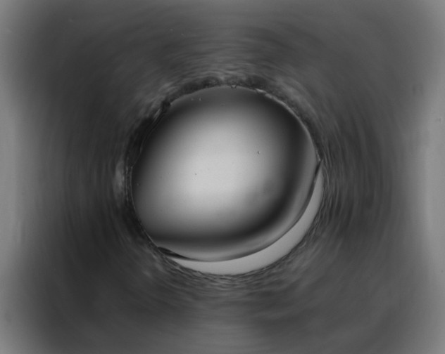 X0000088211298200705221735