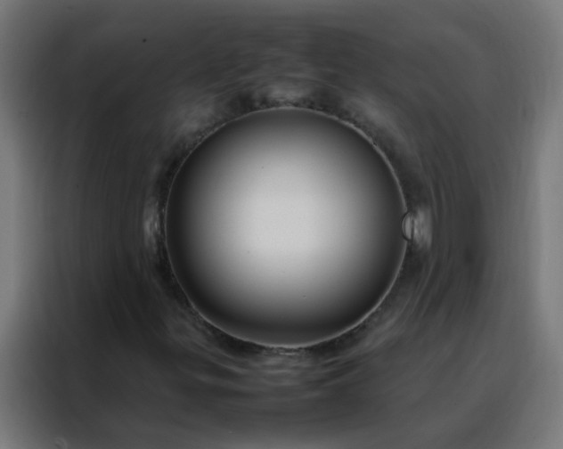 X0000088211299200705221735