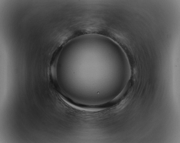 X0000088211300200705221735