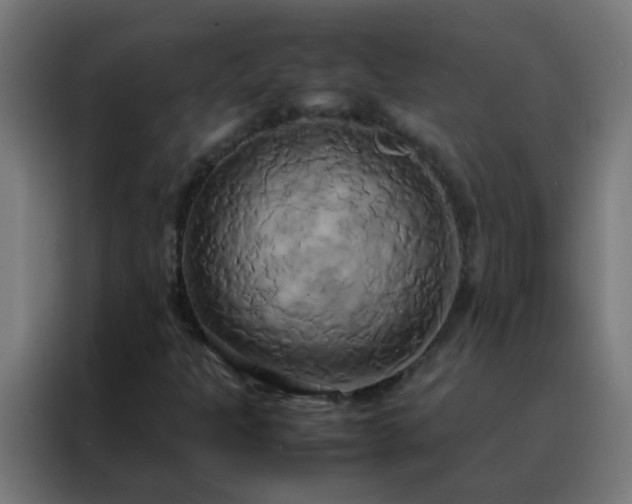 X0000088211301200705221735