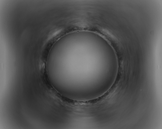 X0000088211302200705221735