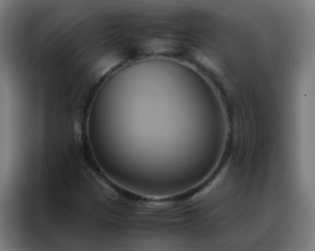 X0000088211305200705221735