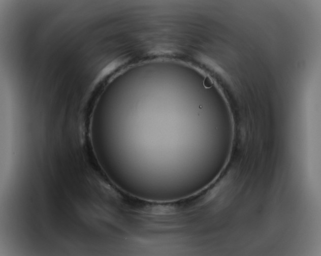 X0000088211306200705221735