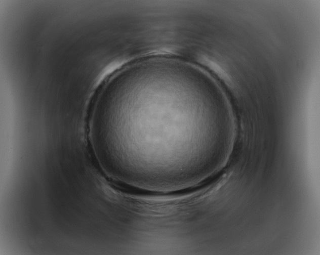 X0000088211308200705221735