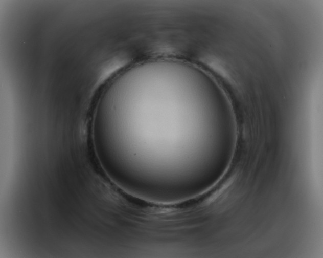 X0000088211309200705221735