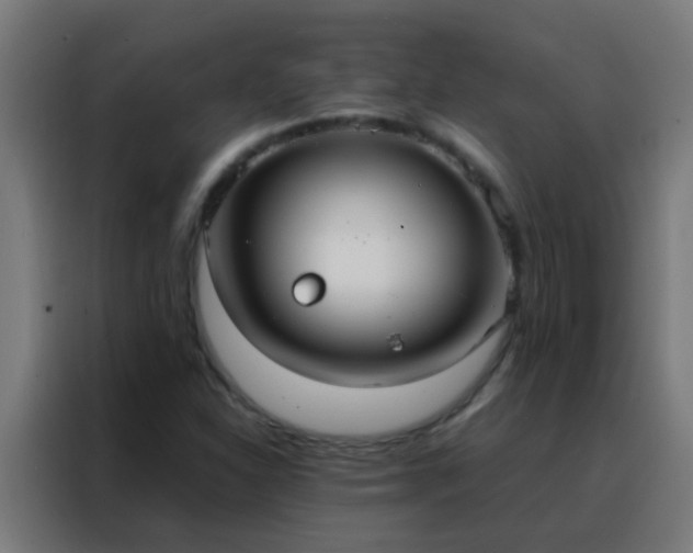 X0000088211310200705221735