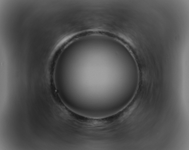 X0000088211311200705221735