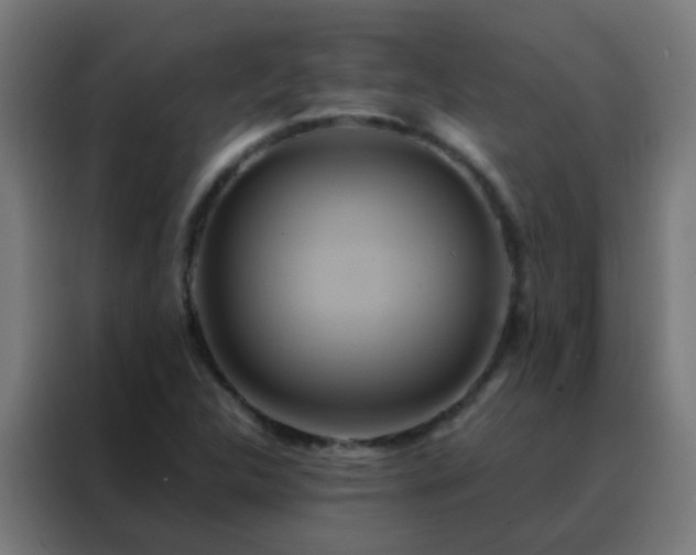 X0000088211312200705221735