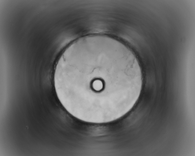 X0000088211314200705221735