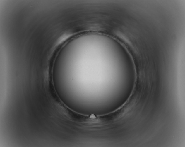 X0000088211315200705221735