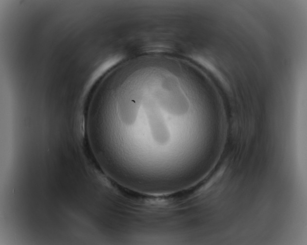 X0000088211317200705221735