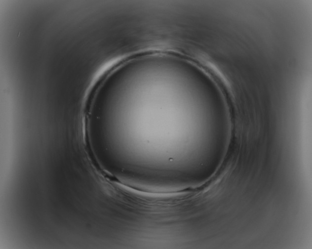 X0000088211320200705221735