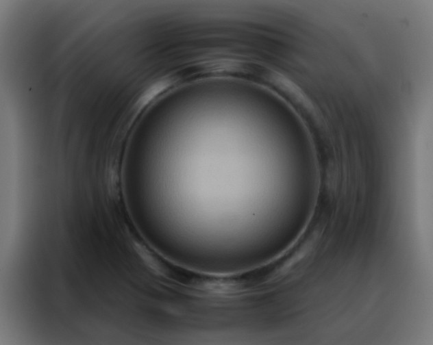 X0000088211321200705221735