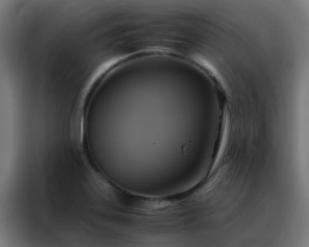 X0000088211323200705221735