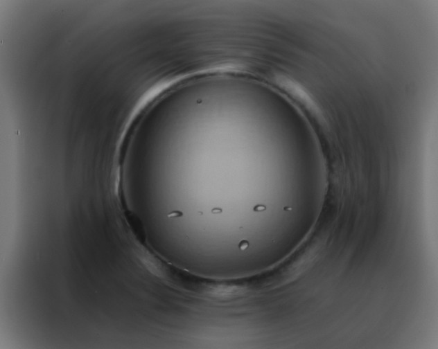 X0000088211324200705221735