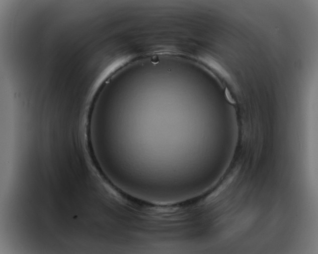 X0000088211325200705221735