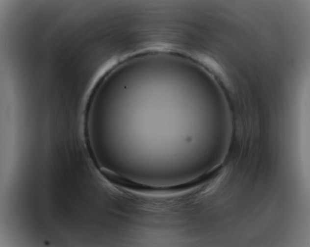 X0000088211326200705221735