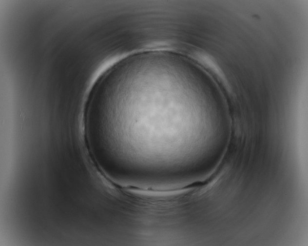 X0000088211328200705221735