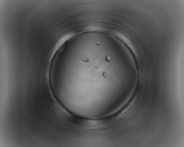 X0000088211330200705221735