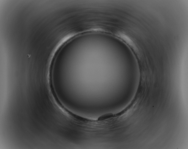X0000088211331200705221735