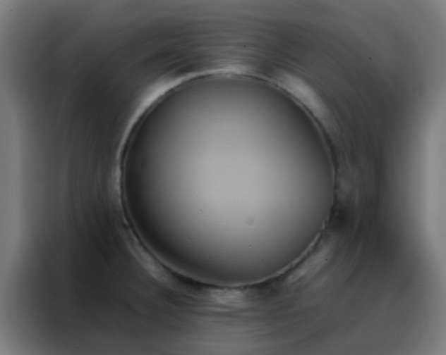 X0000088211332200705221735
