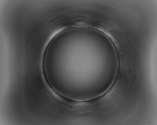 X0000088211333200705221735