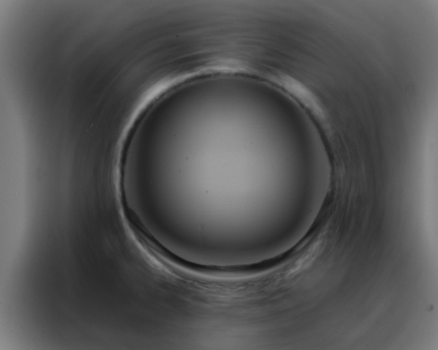 X0000088211334200705221735