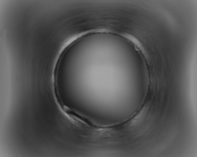 X0000088211335200705221735